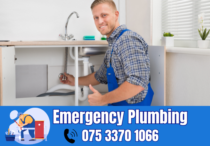 plumber Painters Ash